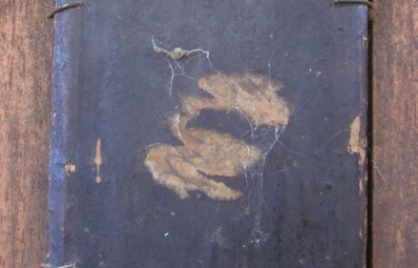 École XIXè huile sur papier