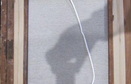 Nature morte aux huitres et crevettes.